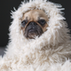 Image for article titled Sherpa Is a Perfect Fabric, But Apparently Some People Hate It? An Investigation.